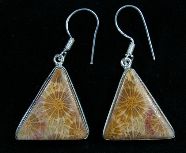 Beautiful Fossil Coral Earrings #7680